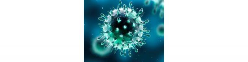 Task force Coronavirus : il punto al 25 febbraio