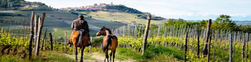 CORSO DI FORMAZIONE PER HORSE TRAVEL MANAGER 